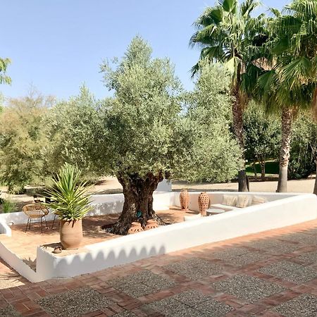 فيلا Cortijo Bablou - Maison De Vacances (Adults Only) أركوس ديلا فرونتيرا المظهر الخارجي الصورة